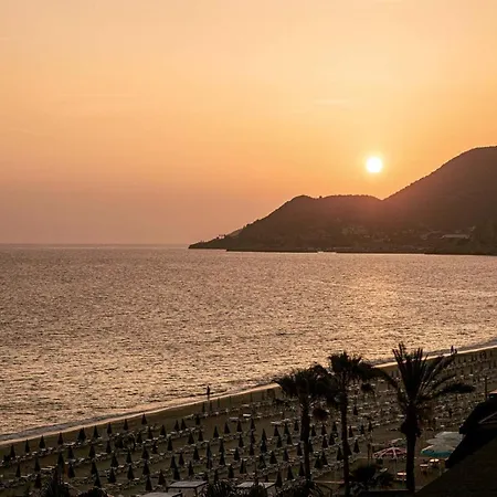 Cook's Club - Adult Only 12