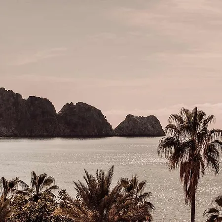 Cook's Club - Adult Only 12 3*