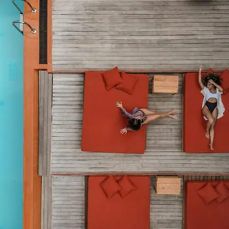 Cook's Club - Adult Only 12